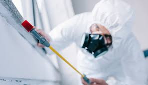 Best Fumigation Services  in Bensville, MD